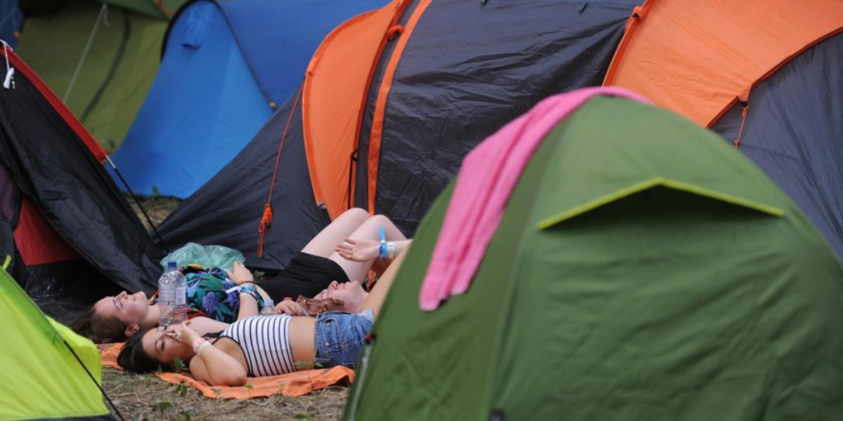 Az első betelepülők FOTÓ: TÓTH GERGŐ