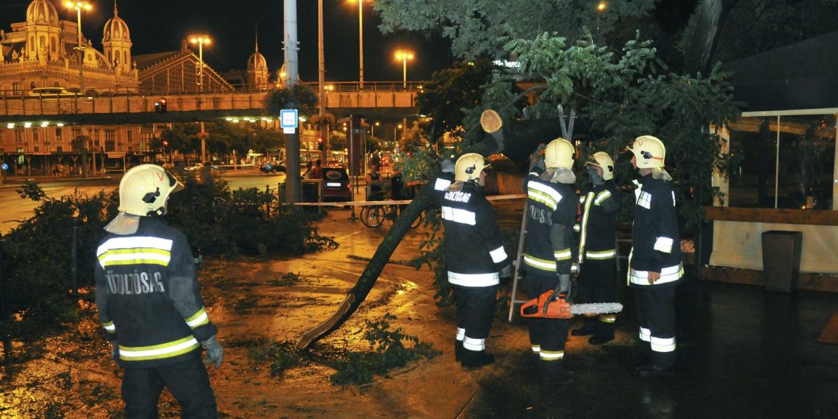 A vihar miatt letört faágakat távolítanak el tűzoltók a fővárosi Szent István körúton 2014. augusztus 2-án este. MTI Fotó: Mihád