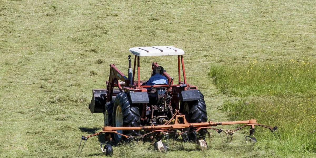 Az agrártámogatások megállapításánál kreatívan számolt a kormány FOTÓ: THINKSTOCK