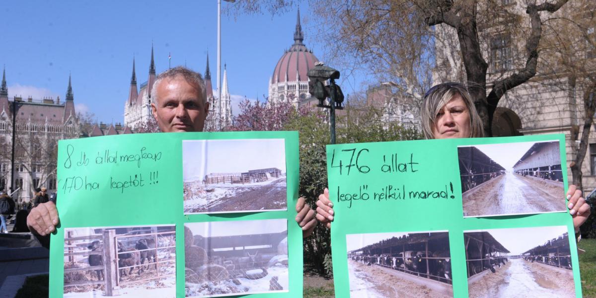 A Kossuth téren már korábban is tiltakoztak a kisemmizett hortobágyi gazdák – mindeddig eredménytelenül FOTÓ: NÉPSZAVA