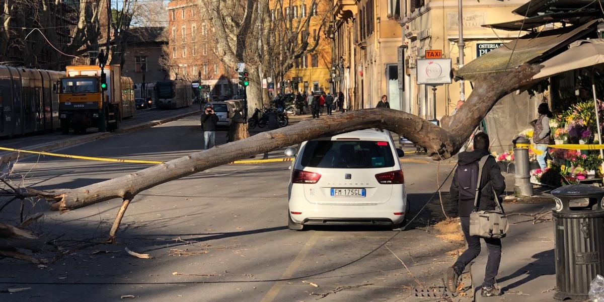 Autóra dőlt fa Rómában