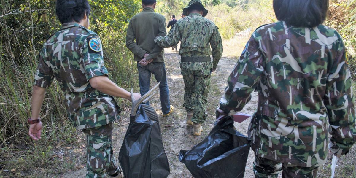 Thai parkőrök kísérnek egy elfogott orvvadászt. A kép illusztrációThai parkőrök kísérnek egy elfogott orvvadászt. A kép illusztr