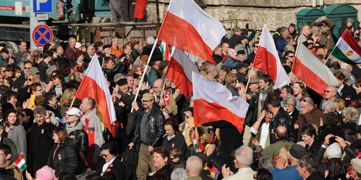 Lengyelek március 15-én Budapesten, 2012-ben - Illusztráció