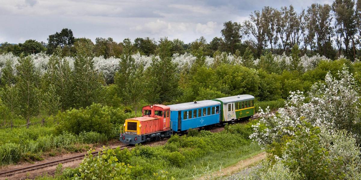 A balatonfenyvesi kisvasút