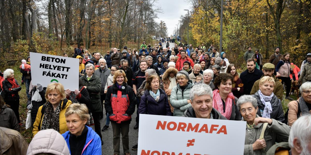 Tüntetők tiltakoznak a Normafára tervezett parkoló és a fakivágások miatt 2019. november 16-án