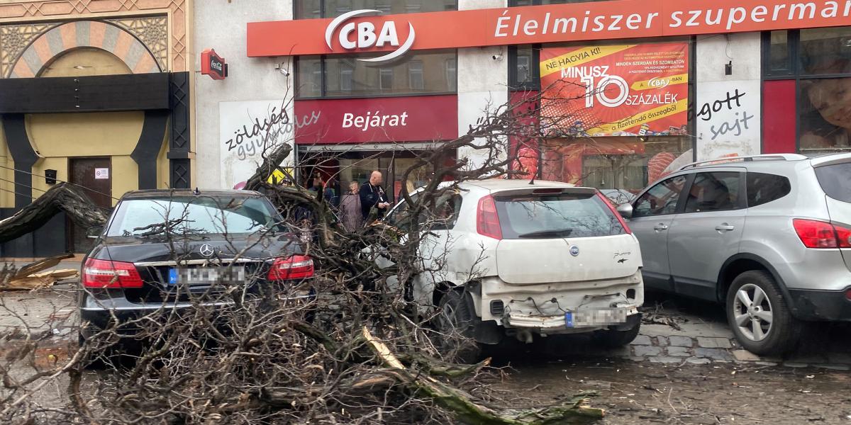 Szélviharban kidőlt fa az Orczy téren