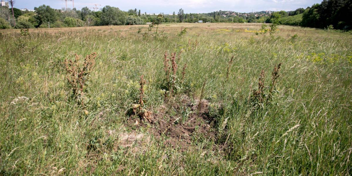 Ide tervezték a Dél-budai Centrumkórházat, de még az alapkövet sem tették le