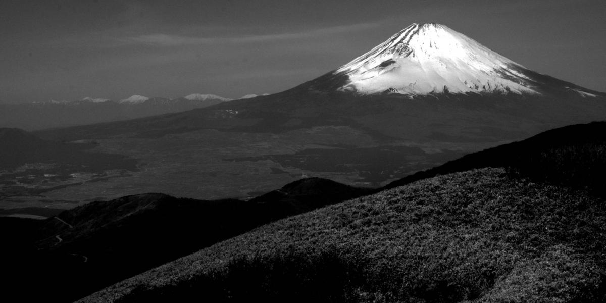 Japán jelképe ritkán mutatja meg magát