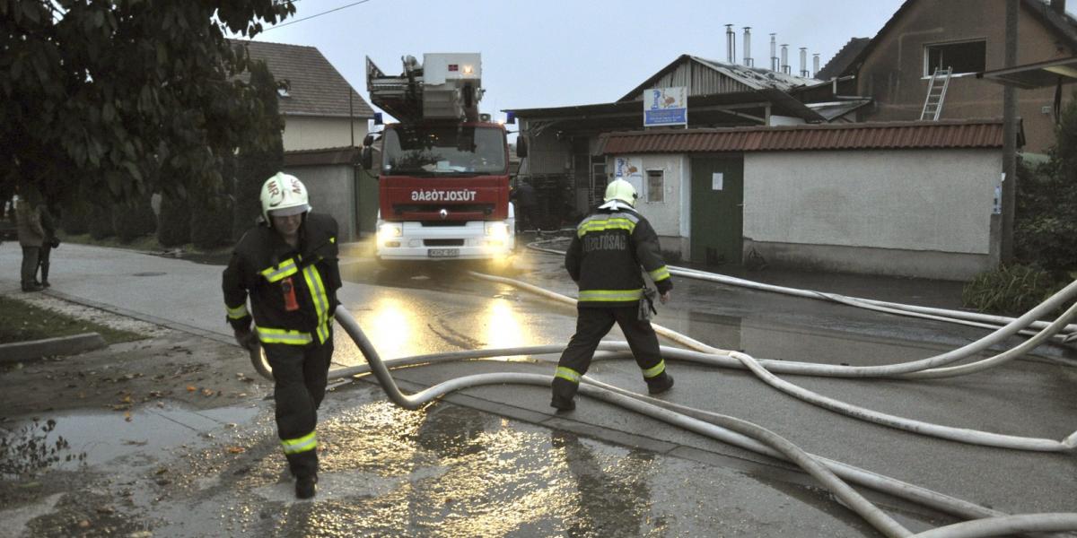 Forrás: MTI Fotó: Mihádák Zoltán