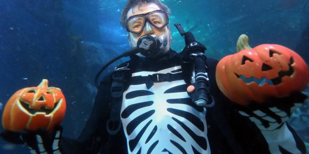 A berlini SEA LIFE & AquaDomban halloween alkalmából a világon évente legyilkolt cápákra hívják fel a figyelmet
FOTÓ: EUROPRESS/