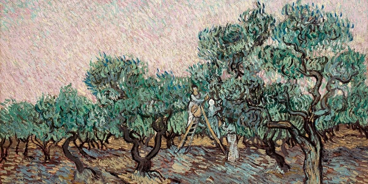 Vincent van Gogh La cueillette des olives - Olajbogyó betakarítás 