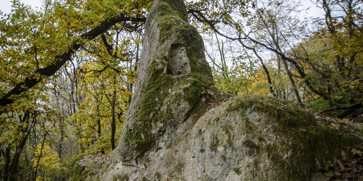 A Kiskúp nevű kaptárkő a Mangó-tetőn, Cserépváralja közelében. MTI Fotó: Komka Péter