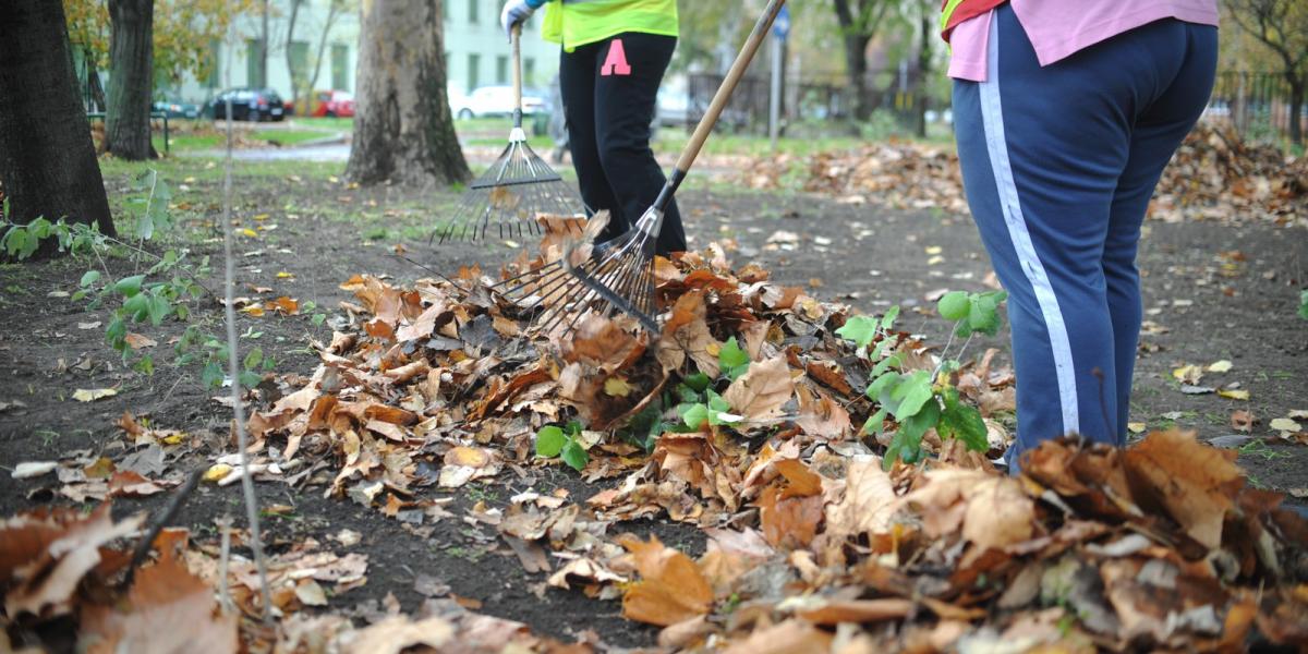 A közmunkások torzítják a statisztikát. Őket fi gyelmen kívül hagyva 10 százalék felett lenne a munkanélküliség FOTÓ: TÓTH GERGŐ