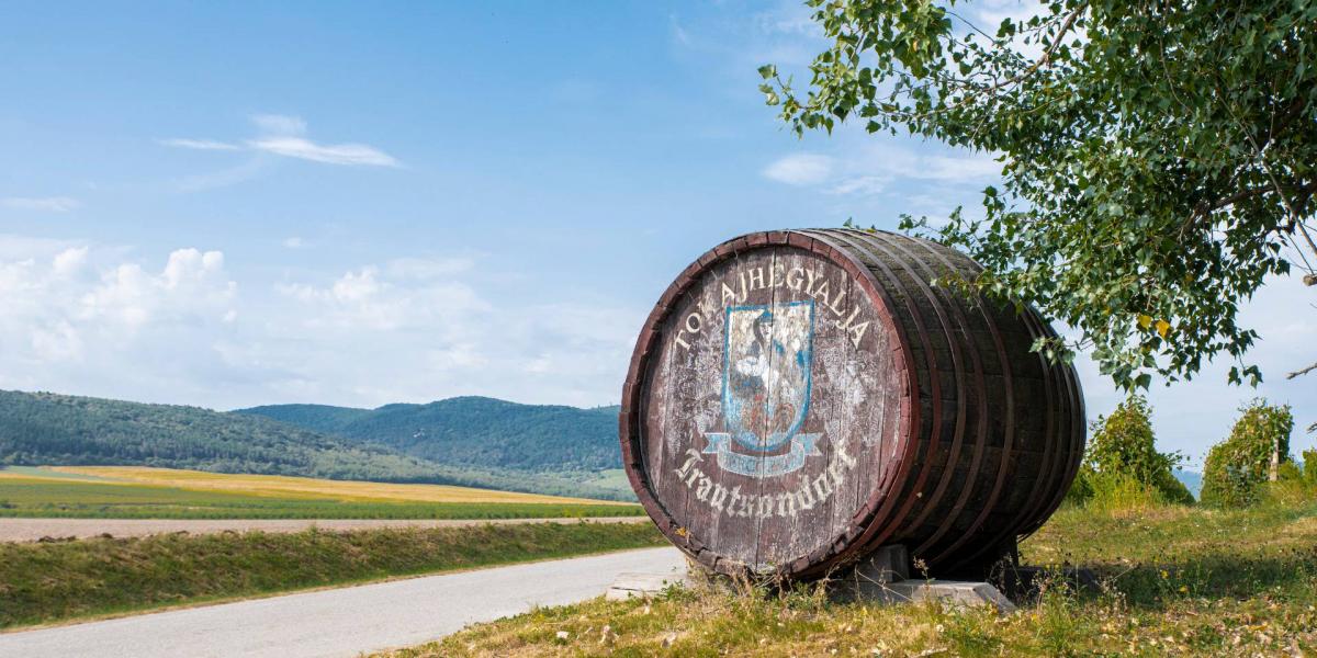 A tokaji borturizmusnak is nagy érvágás lehet a gyenge alapokra épült bicikliút beomlása 