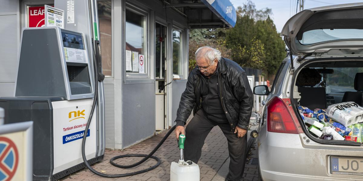 A szerencsésebb kis kutak újra talpra álltak, több tucat azonban bezárt