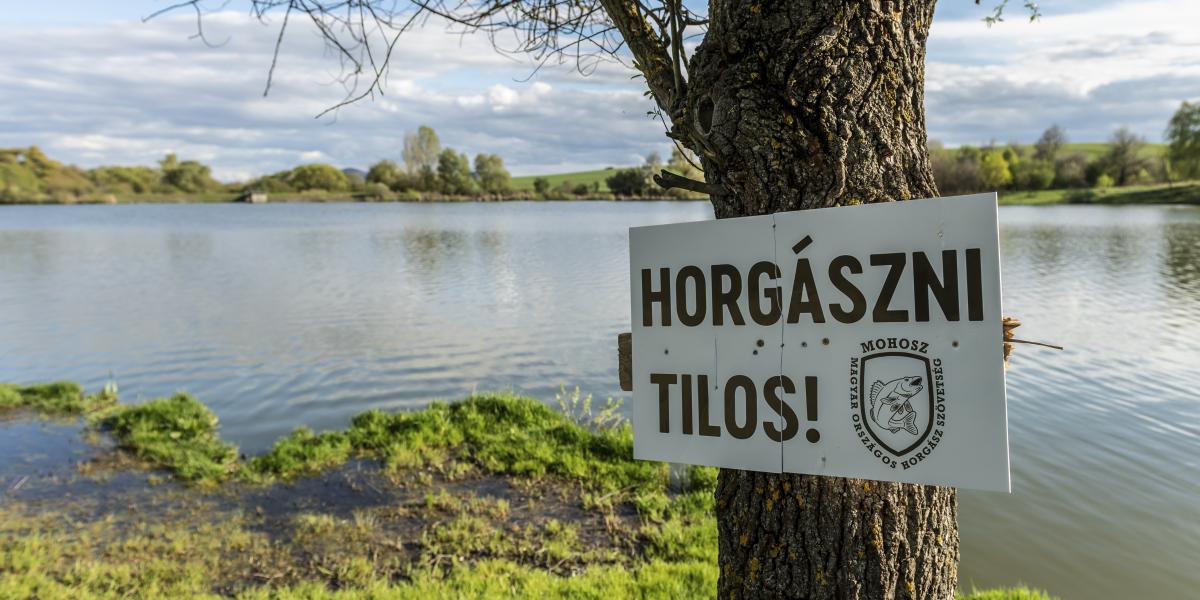 Készítik a terepet a beruházáshoz, ami viszont csak a tó teljes kerületének mintegy ötödét érinti majd