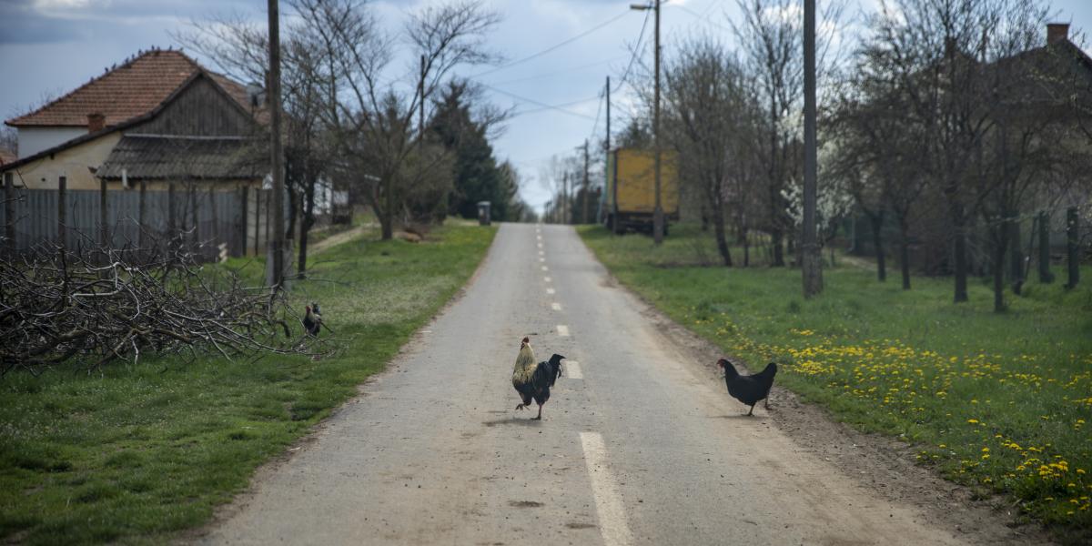 Választási csatatért lehet Pusztaottlaka