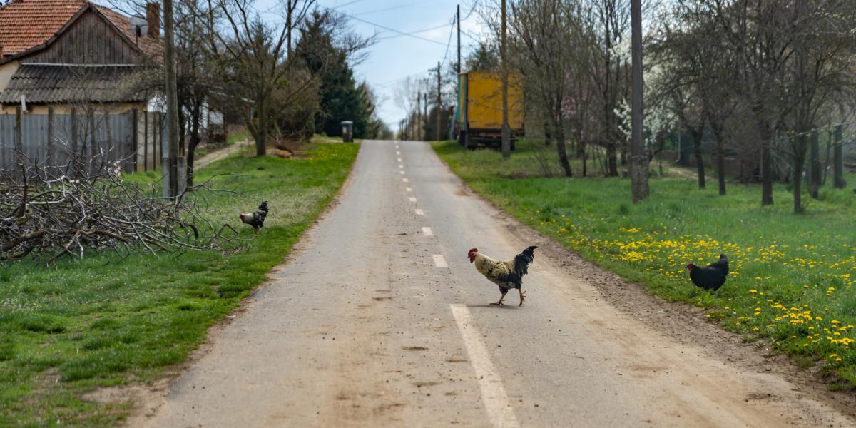 Ahogy túlzsúfolttá válnak a gazdaságilag fejlett térségek, úgy gyorsul a leszakadó régiók falvainak sorvadása