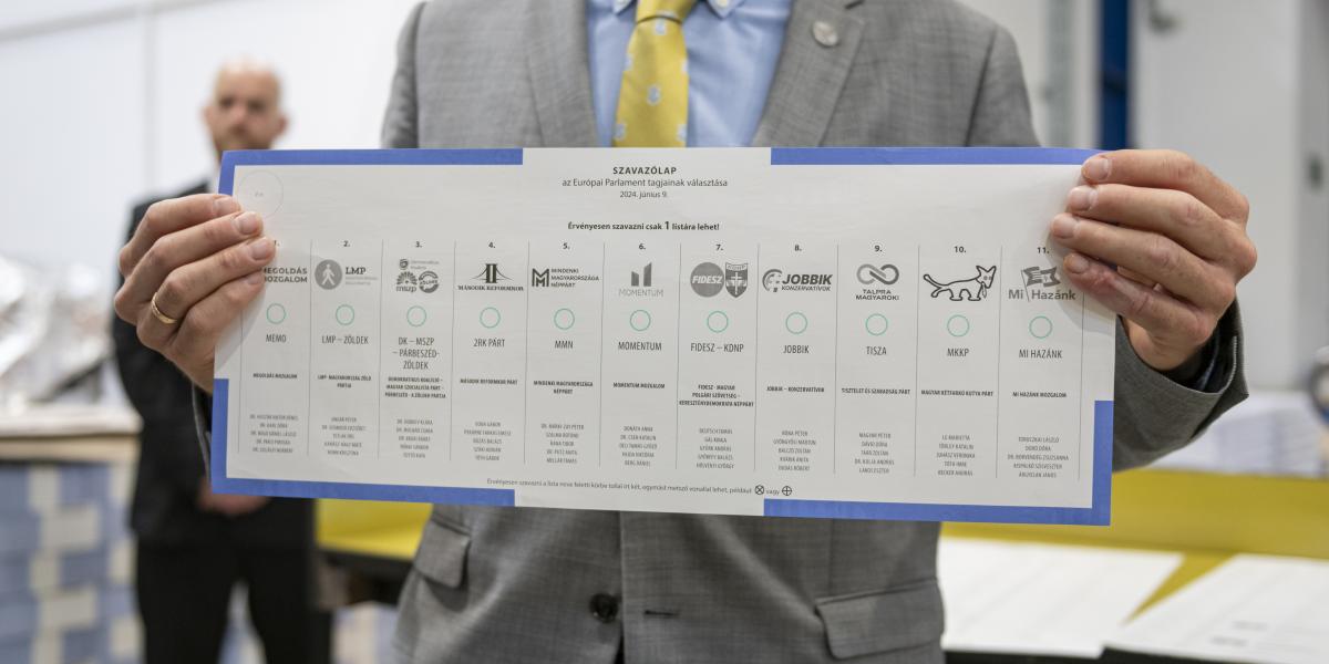 Sokszereplős verseny. Az európai parlamenti választás szavazólapja
a 11 listával