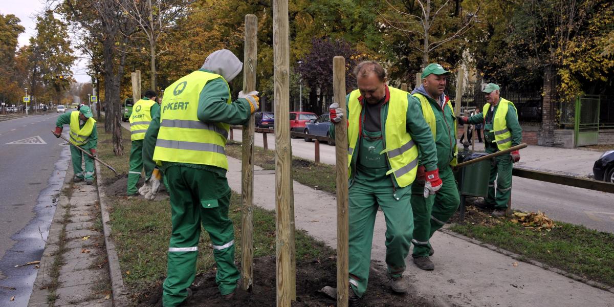 A Főkert park­fenntartási alvállalkozói keretszerződései már korábban kimerültek – állította a Budapesti Közművek Zrt.