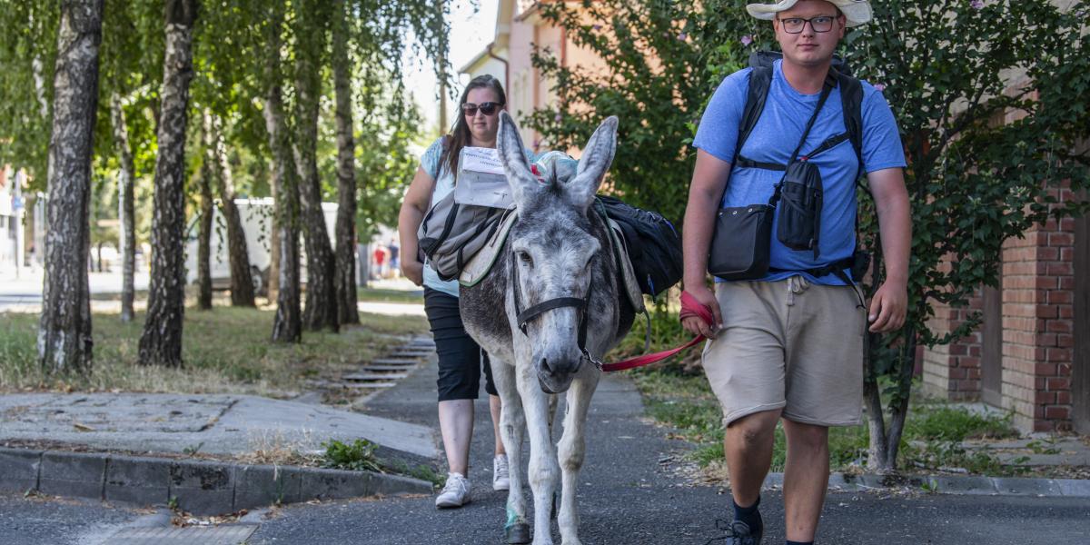 „Én mutatom az irányt, a szamár pedig adja a ritmust, vagyis azt, hogy mikor állunk meg és »mennyivel« megyünk”