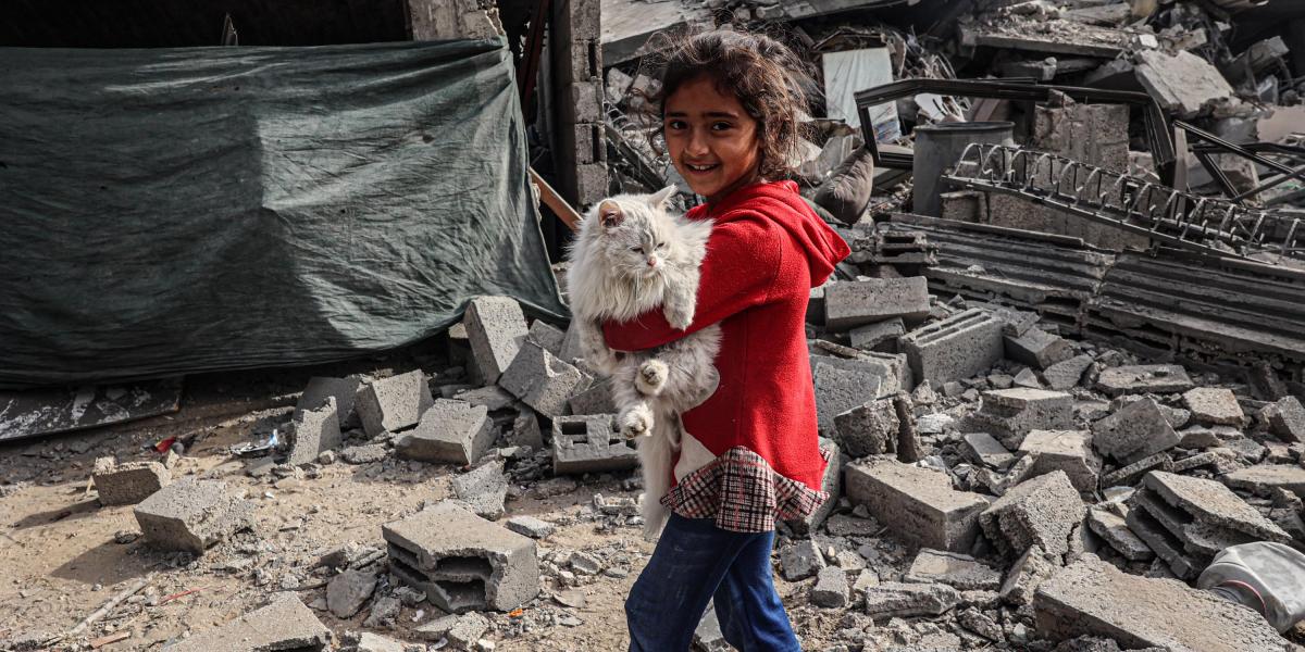 Gázai övezet déli részén fekvő Rafahban palesztin lány macskát cipel a lebombázott épületek romjai között