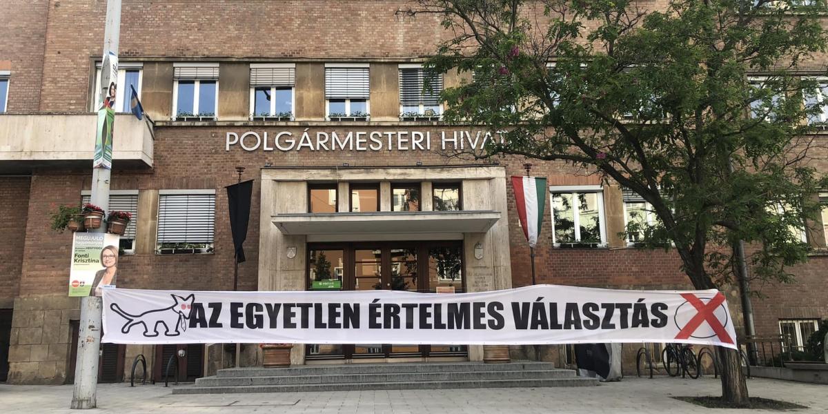 A XII. kerületi polgármesteri hivatal 2024 júniusában, az önkormányzati választás előtti napokban 