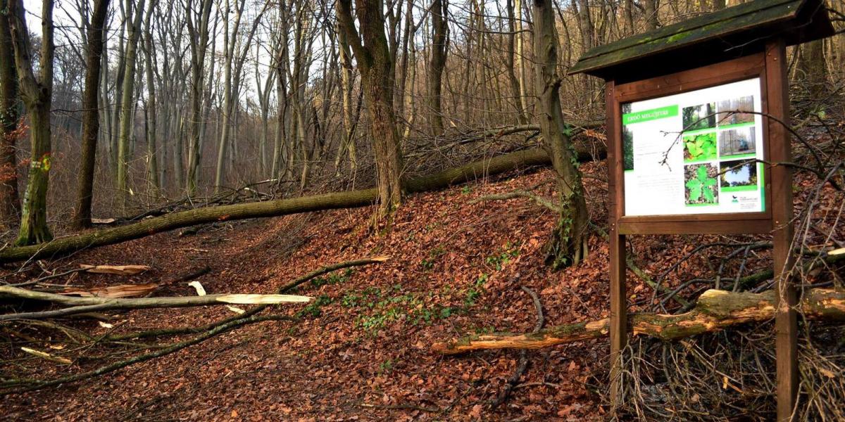 Továbbra is tilos és veszélyes azonban letérni a turistautakról  Fotó: Pilisi Parkerdő Zrt. / Facebook 