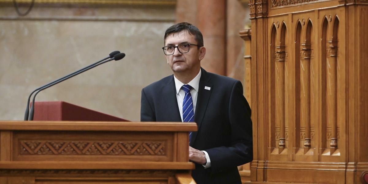 Domokos László - Korábbi felvétel 