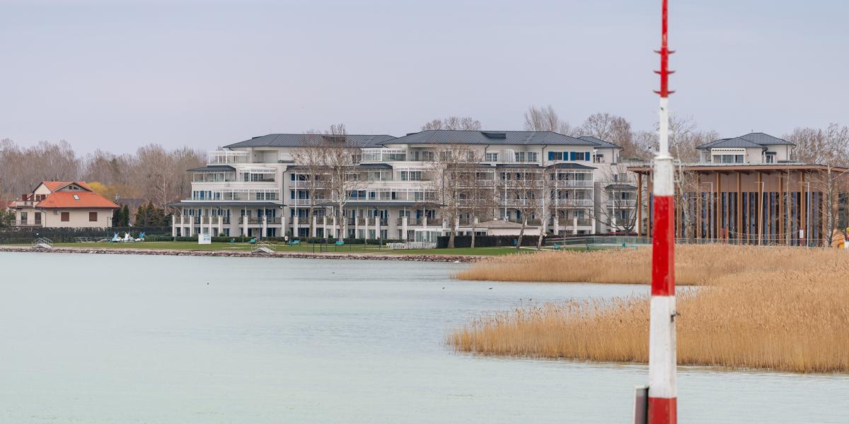 A meleg időben elszaporodtak az algák a vízben és az árvaszúyogok a Balaton közelében