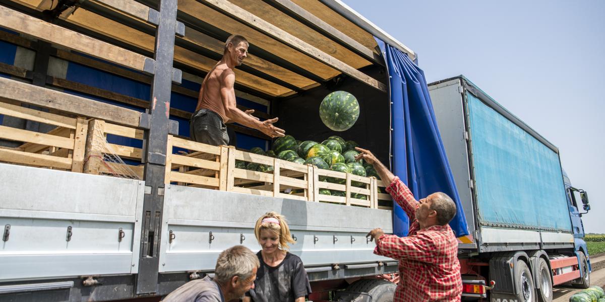 Tavalyhoz képest a napszám költsége 1500-2000 forinttal emelkedett, feladattól függően