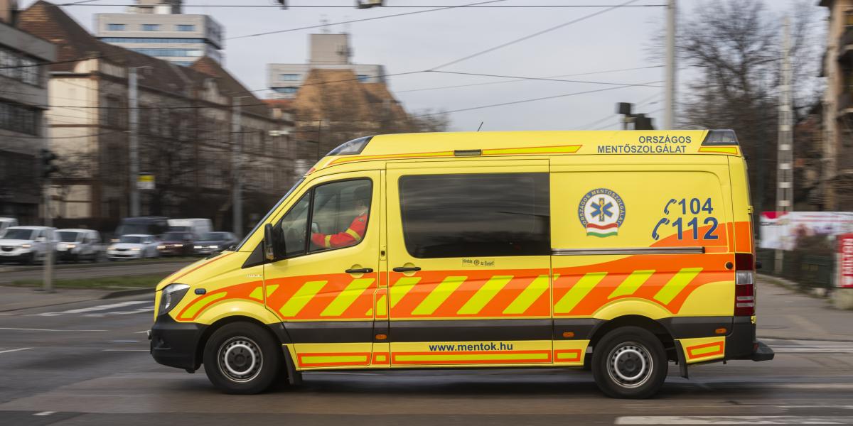 Képünk illusztráció. 