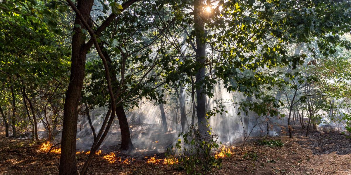 Képünk illusztráció!