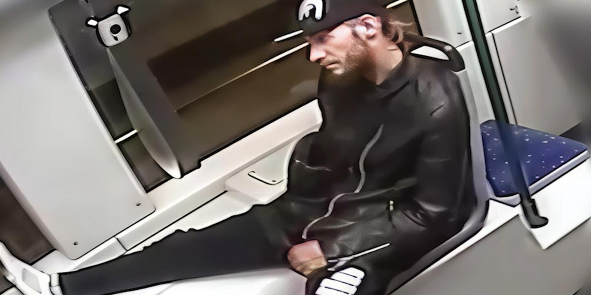 A körözött férfi 