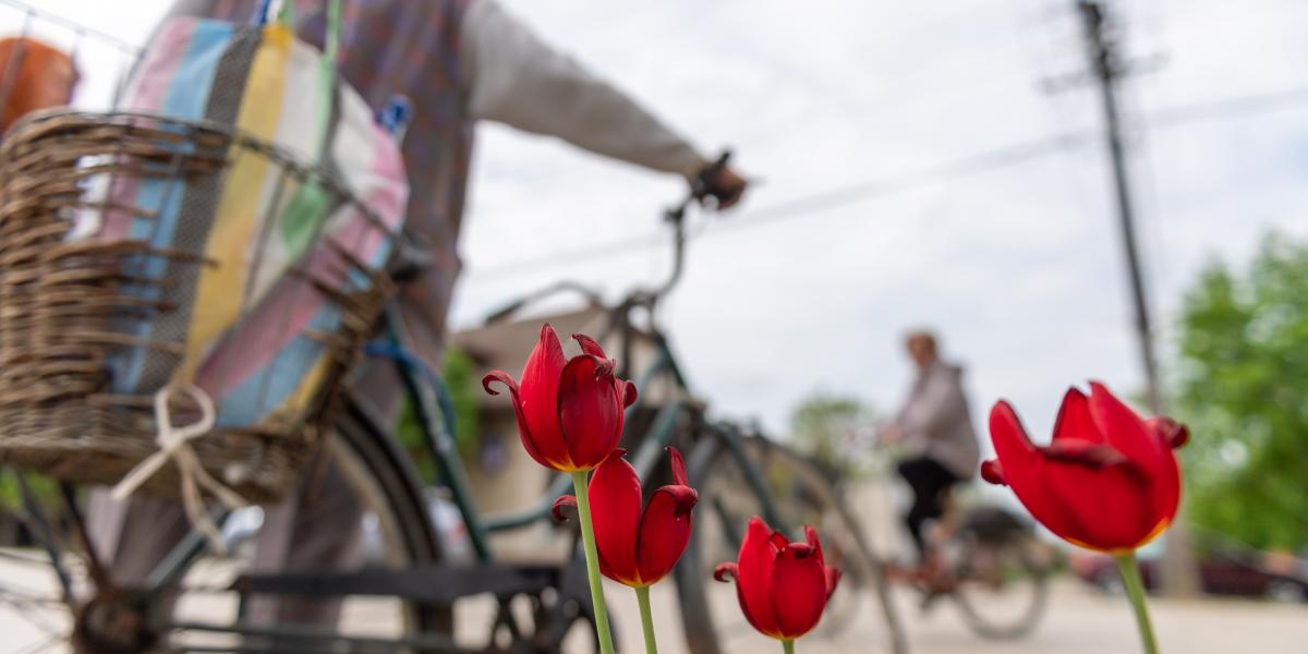„Orbán hülyének nézi az embereket, és igaza van, azok vagyunk”