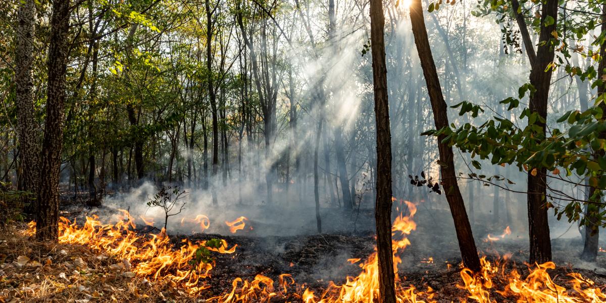 Képünk illusztráció