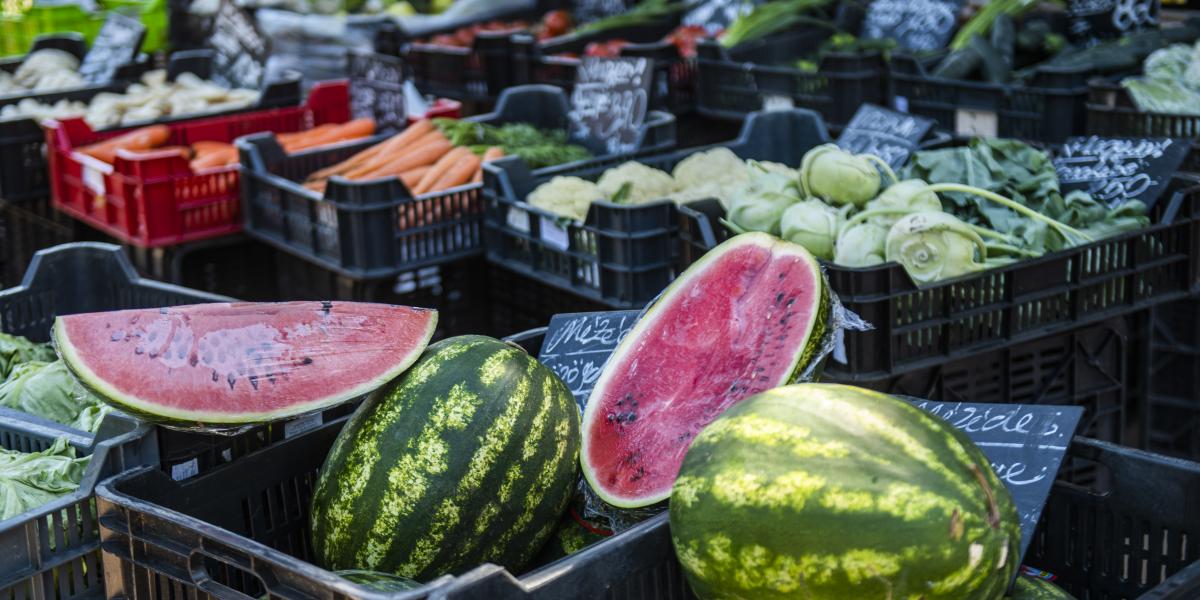 Bőséges lesz az idei dinnyekínálat, az árak széles skálán mozoghatnak