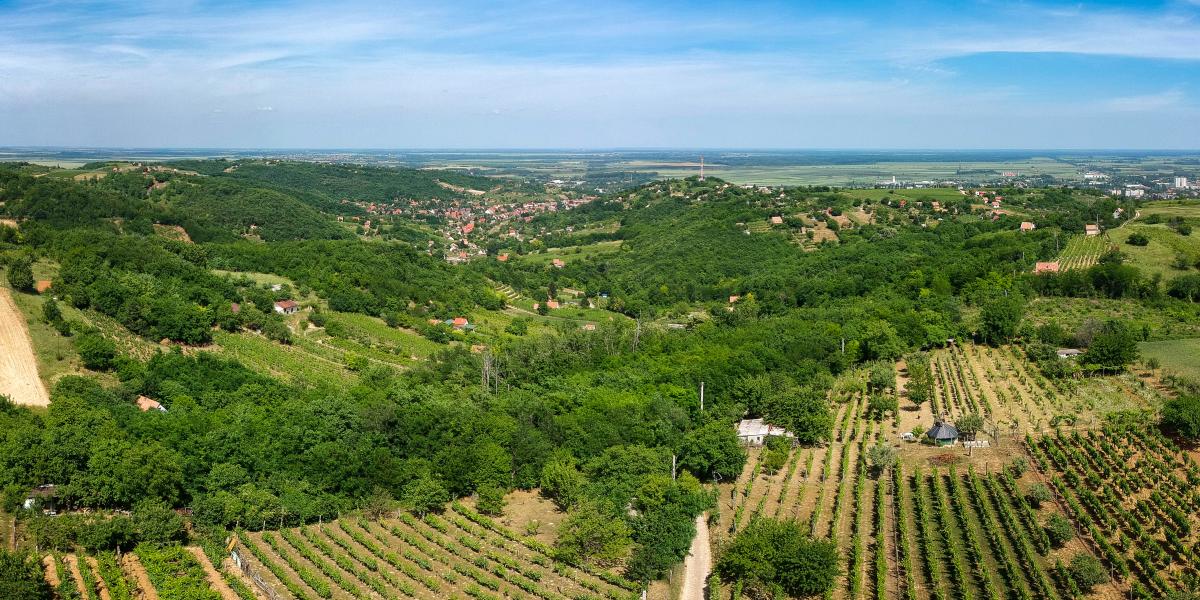 Szekszárdi borvidék