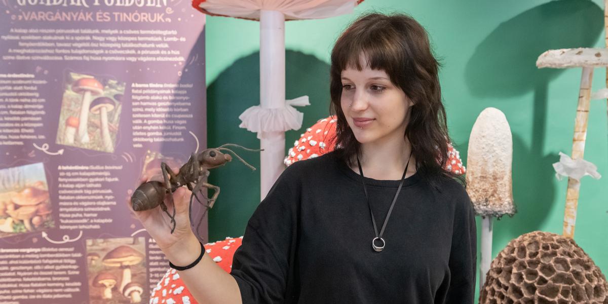 Dusnoki Anna kurátor, ArtEnto Ökocentrum