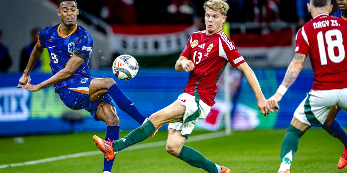 Mészáros Lőrinc vejének milliárdos cége a válás után csődbe ment, a Haladásnak Schäfer András küldött 15 milliót