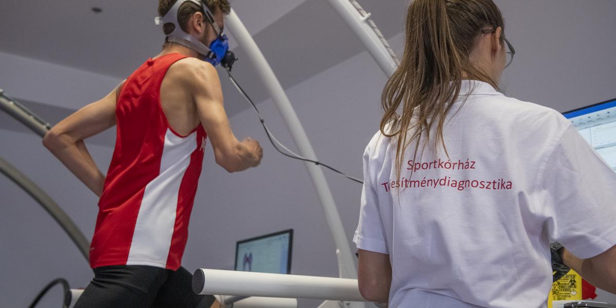 Az OSEI vezetése szerint ha az érintettek ügyeltek volna az újításra, ma minden flottul menne