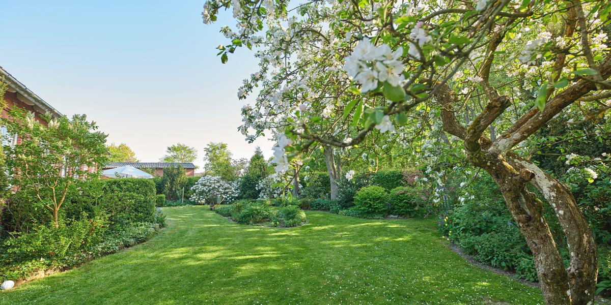 A sok fa árnyékot ad, ami jó a kertnek