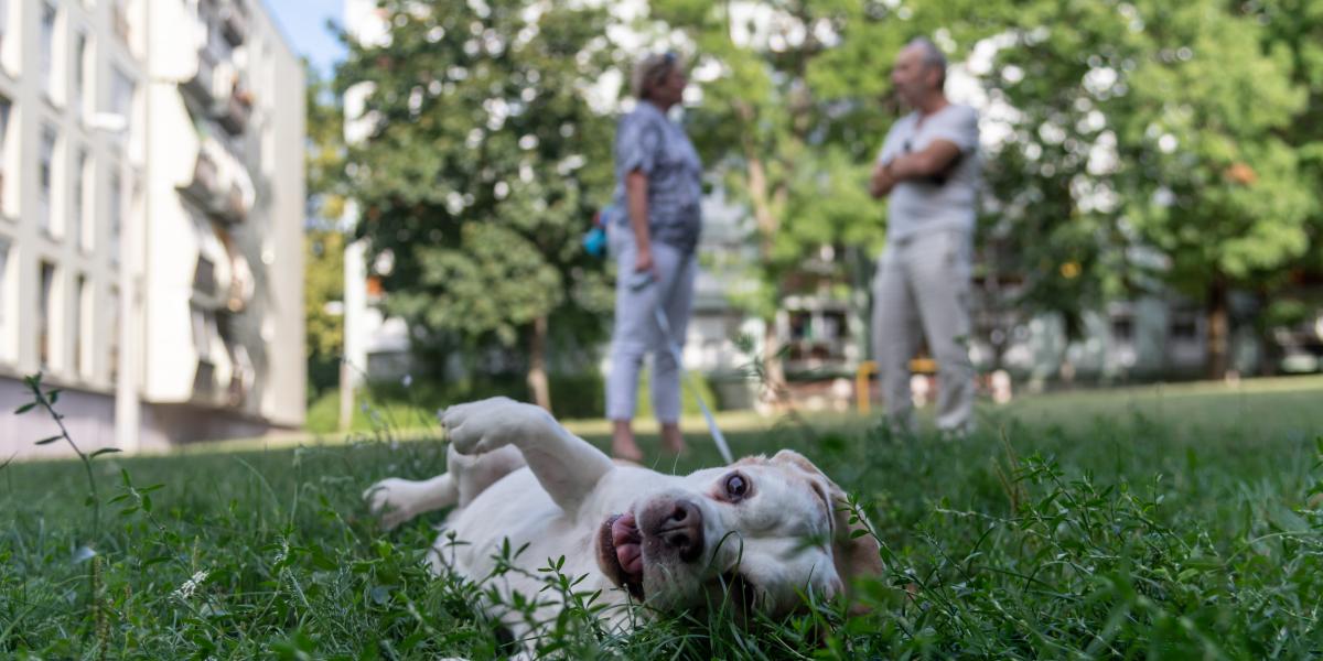 „Engem nem érdekel a politika. Nekem jó a Fidesz. A két lányom másként látja. A lényeg, hogy egészség legyen, a többit lesz…rom”