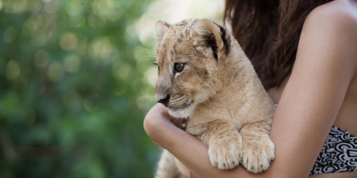 Képünk illusztráció 