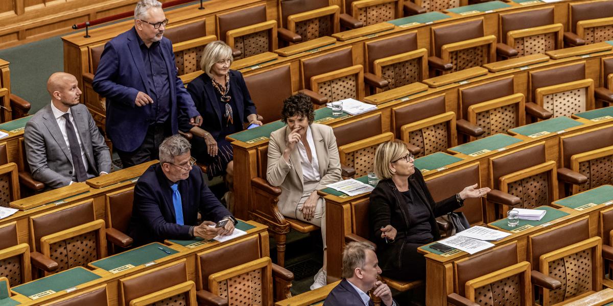 A Demokratikus Koalíció parlamenti frakciója május 20-án 