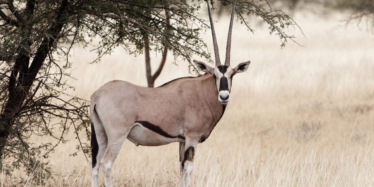 Képünk illusztráció. 