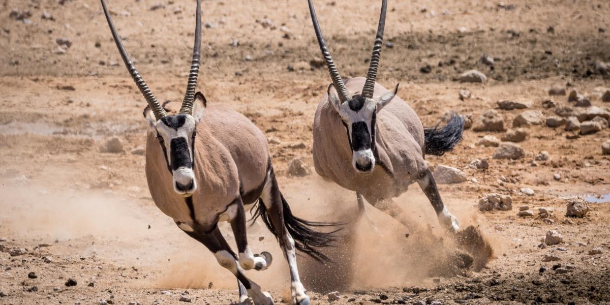 Képünk illusztráció 
