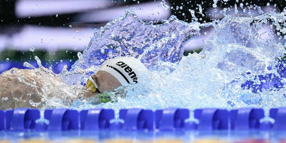 Sárkány Zalán döntős 1500 méter gyorson