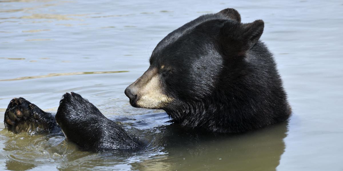 Képünk illusztráció