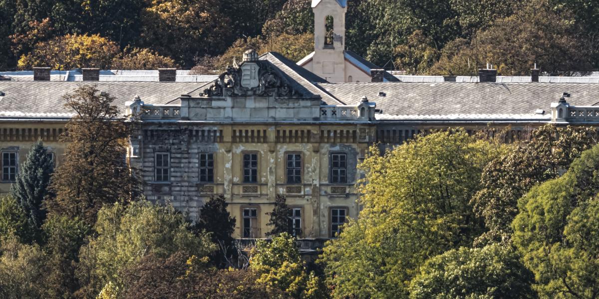 Sem Lipótmező bezárása, sem a Covid-járvány nem tett jót a pszichiátriá­nak